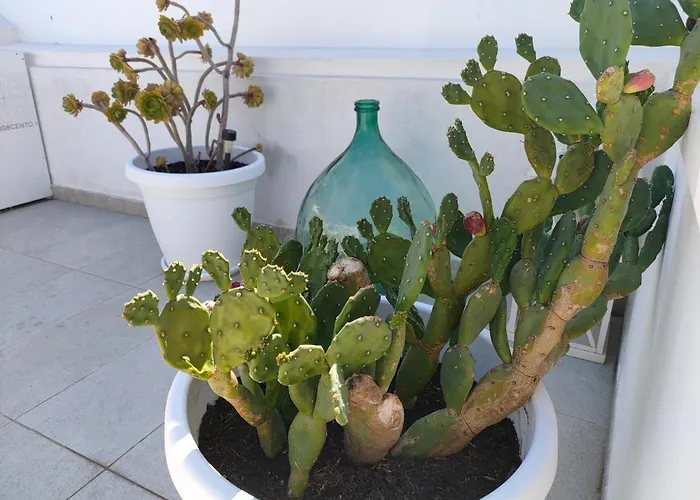 Affittacamere Borgottocento Vieste